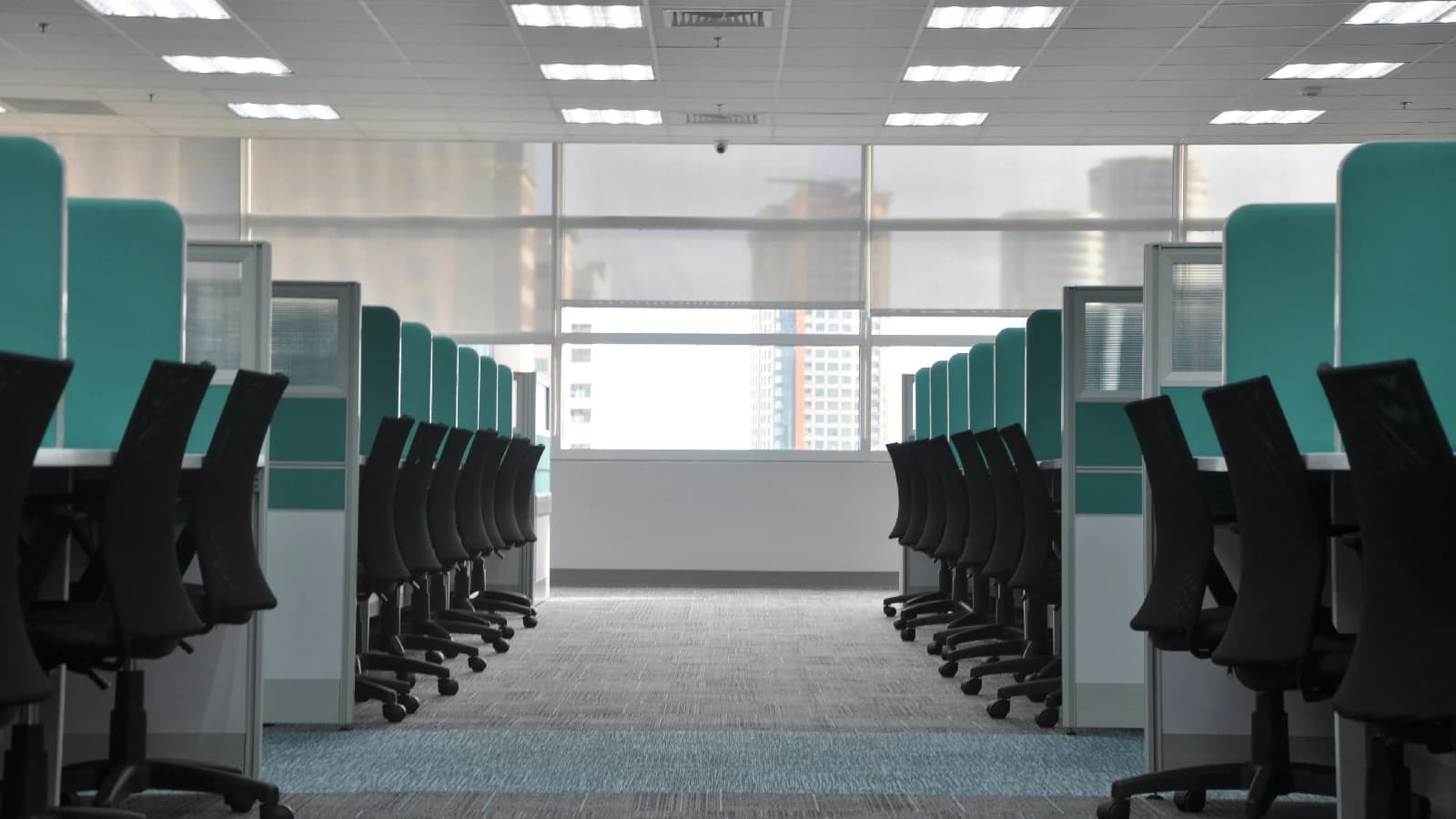 Empty open-plan office with symmetrical rows of teal cubicles and black chairs.