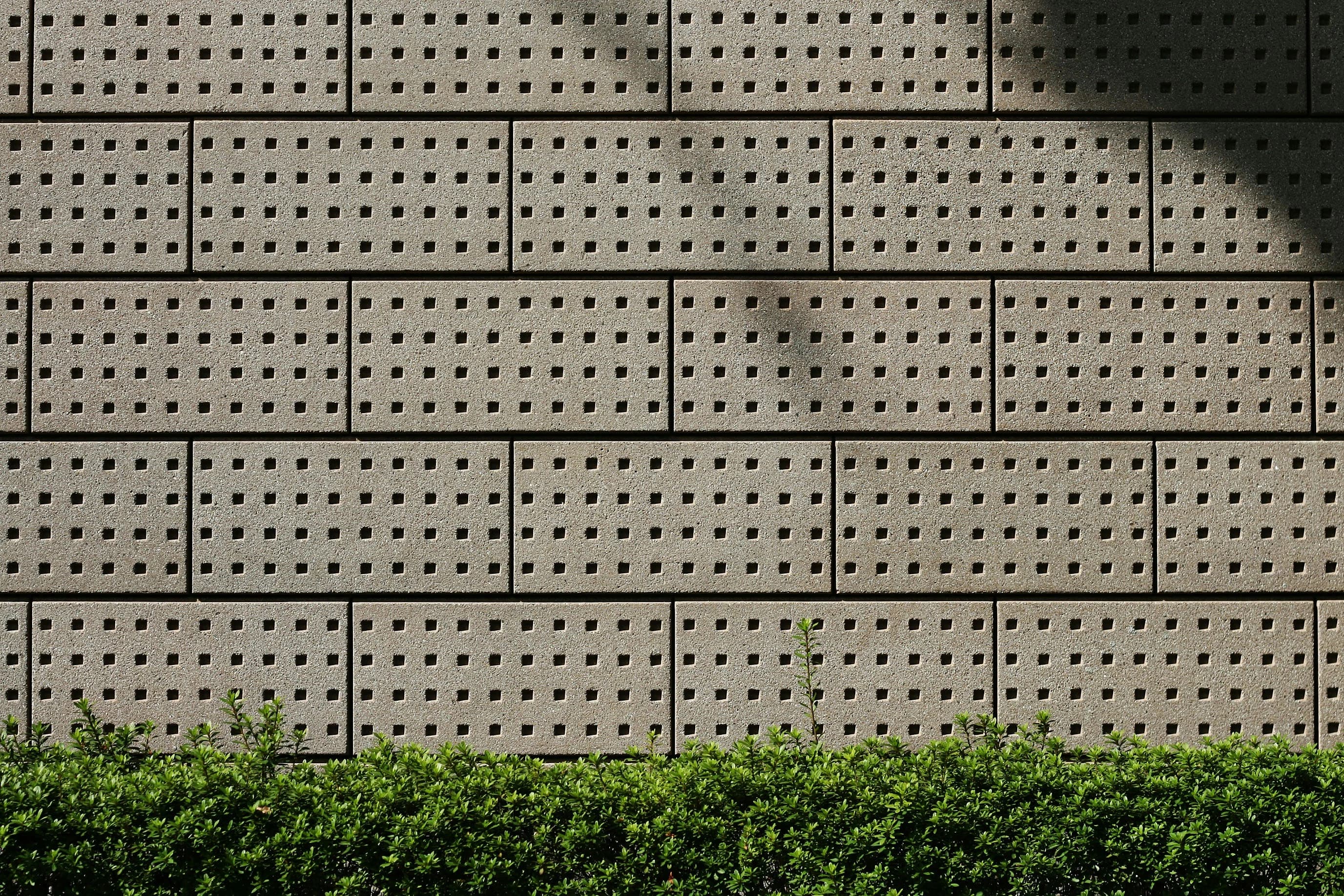 Grey perforated concrete block wall with a strip of green shrubs along the bottom.